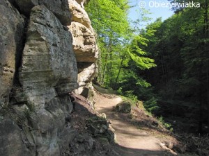 Mullerthal Trail