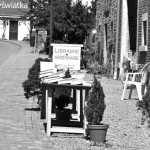 Redu - belgijska wioska książek