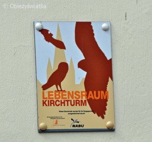 Lebensraum Kirchturm, Niemcy, Bingen nad Renem