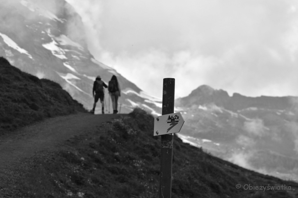 Eiger Walk