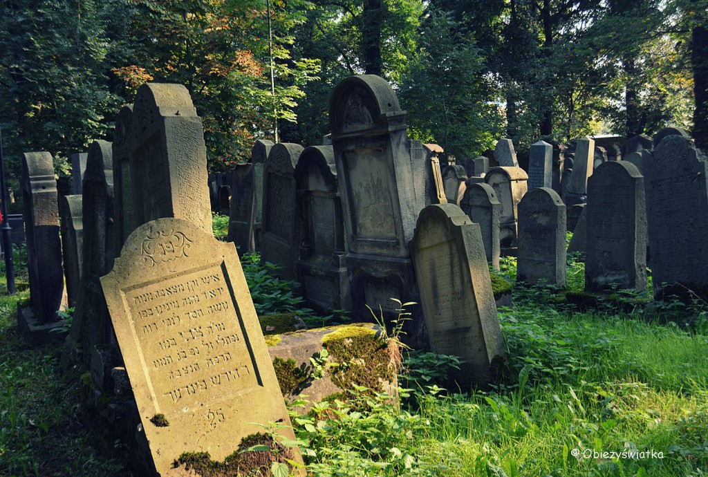 Macewy na żydowskim cmentarzu w Tarnowie