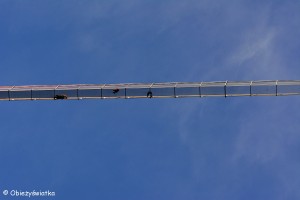 Highline179 w Reutte, Austria