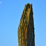 Jeden z kamieni Ring of Brodgar, Orkady, Szkocja