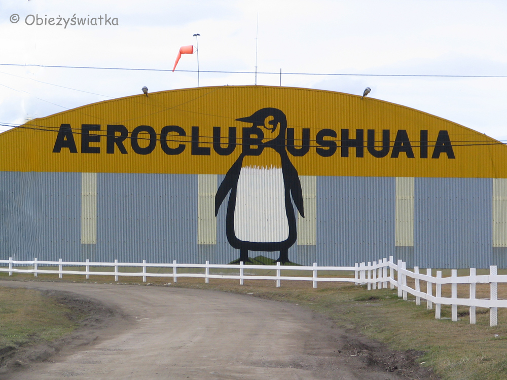 I znowu pingwin ;) - Ushuaia, Ziemia Ognista, Argentyna