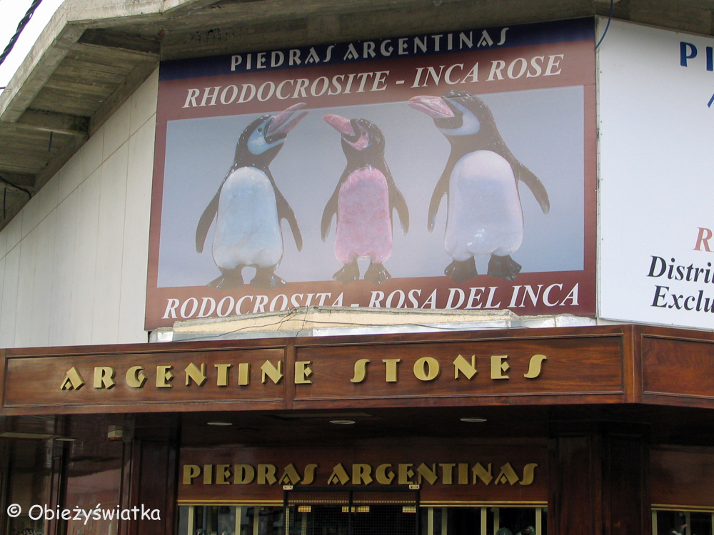 Gdzie nie spojrzeć - pingiwny! :), Ushuaia, Ziemia Ognista, Argentyna