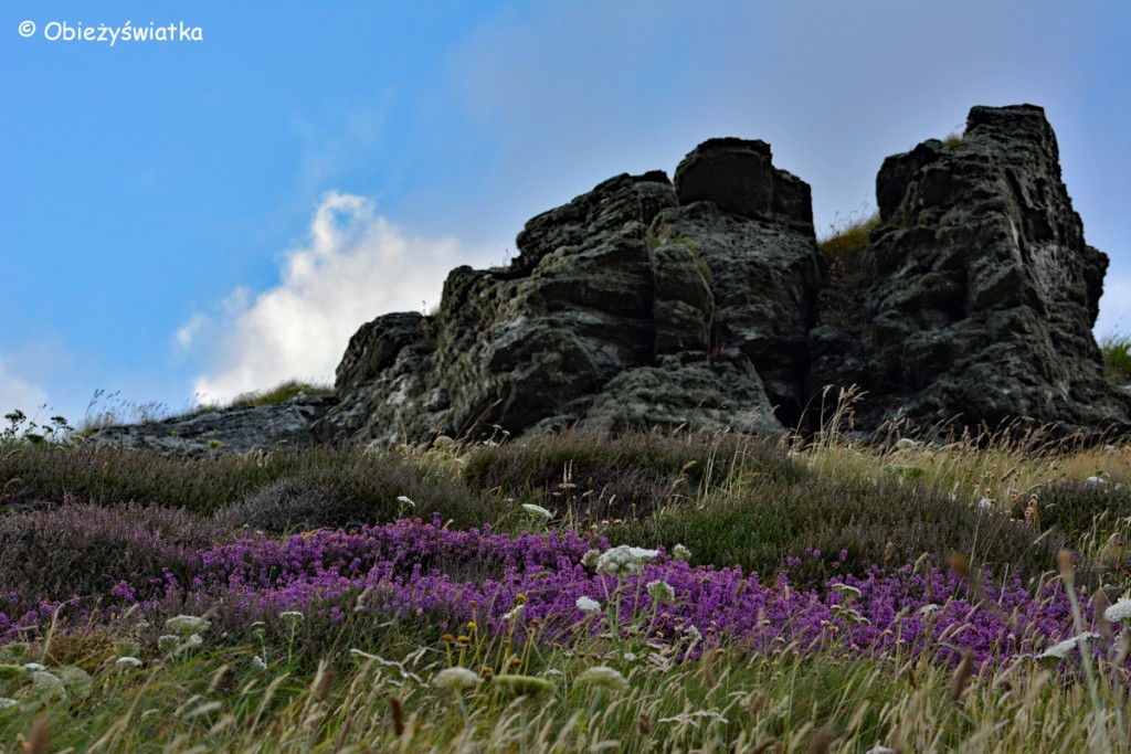 Wokół Tintagel Castle - skały i wrzosy