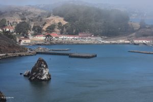 Zatoka San Francisco, Marin County