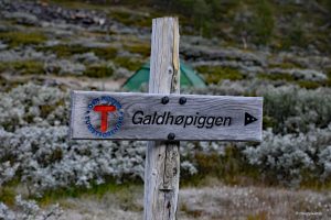 Drogowskaz - Galdhopiggen