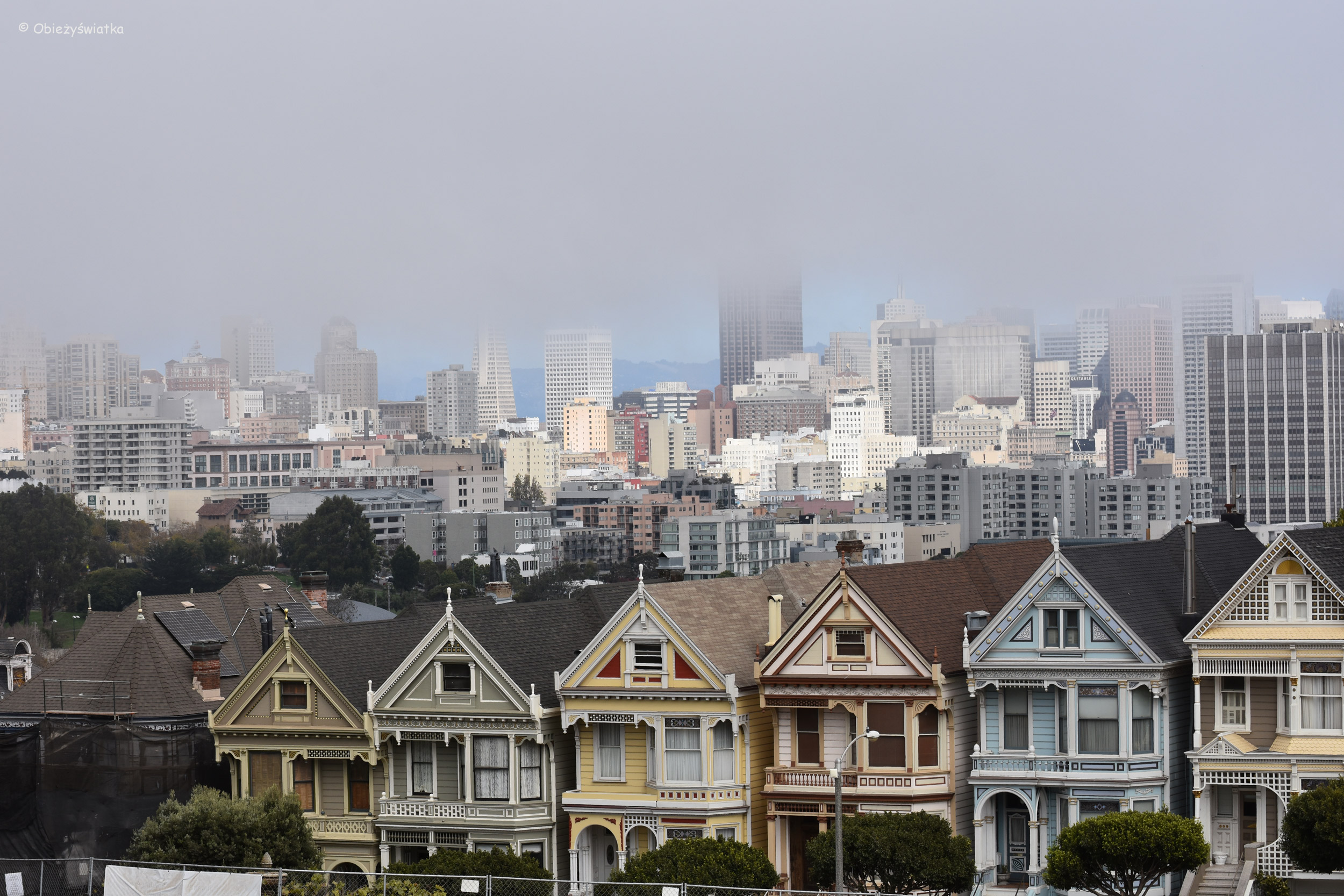 Malowane Damy i panorama San Francisco