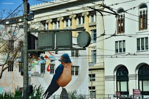 Na jednej z ulic w San Francisco