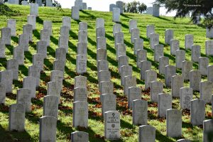 Białe nagrobki - Cmentarz Narodowy w Arlington