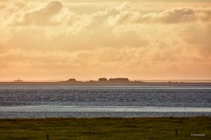 Halligen - widziane z Hamburger Hallig