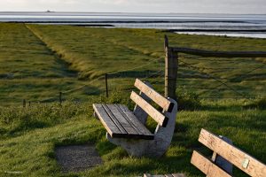 Miejsce na podziwianie natury - Hamburger Hallig