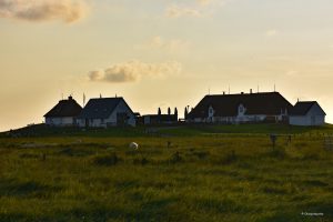 Hamburger Hallig - zagroda