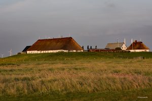 Hamburger Hallig