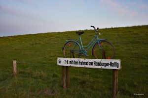 Rowerem na Hamburger Hallig