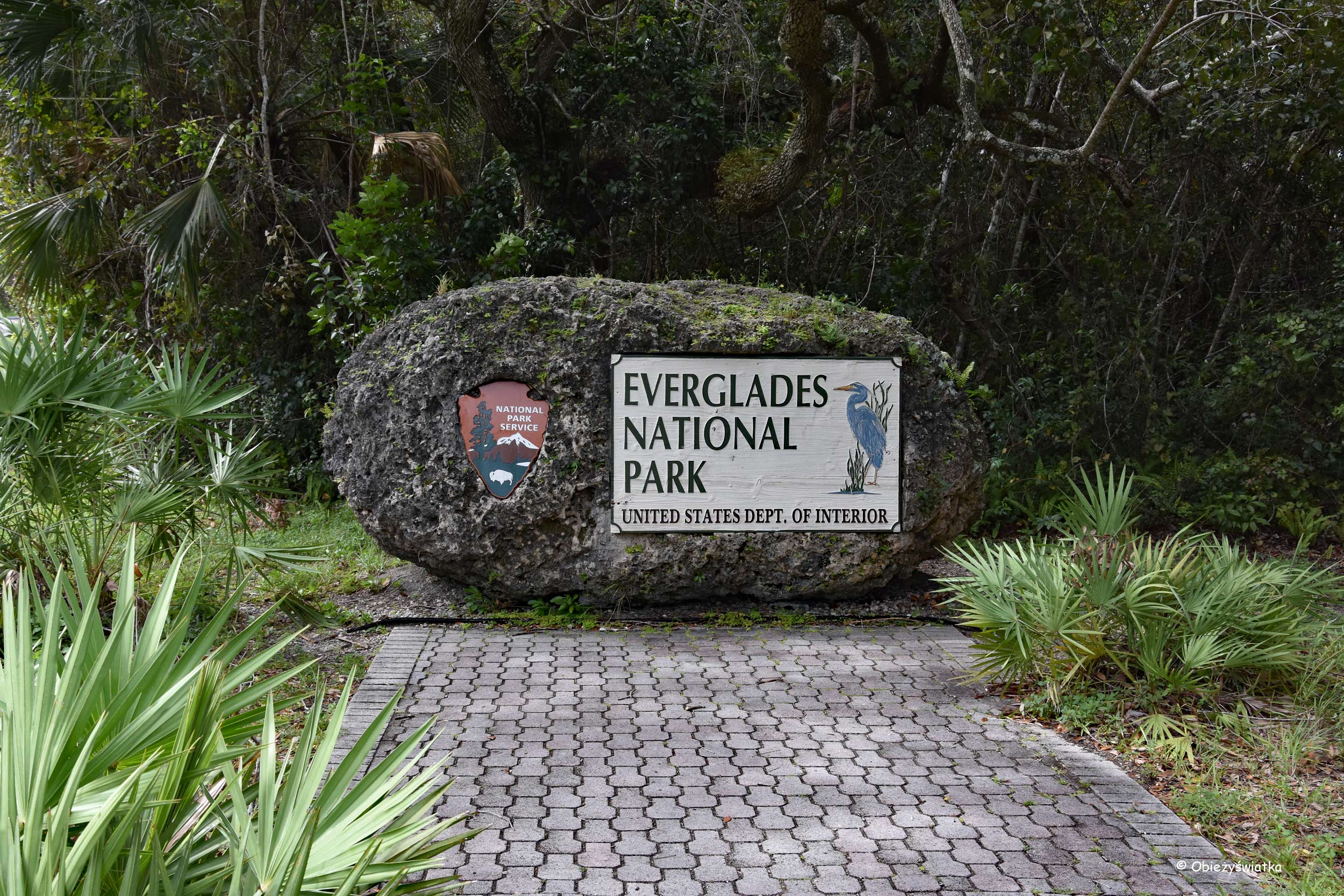 Park Narodowy Everglades, Floryda, USA