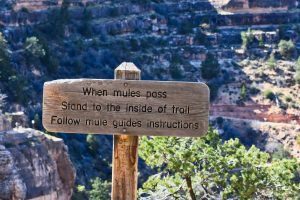 I wszystko jasne! - Grand Canyon National Park, Arizona, USA