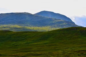 Zielony Rannoch Moor, Szkocja, UK