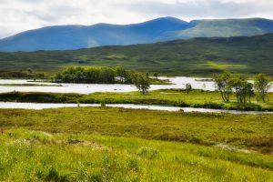 Mokradła, trzęsawiska, wrzosowiska... - Rannoch Moor, Szkocja, UK