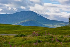 W Rannoch Moor, Szkocja, UK