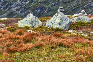 Wędrując przez Aurlandsfjellet, Norwegia