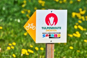 Tulpenroute, Holandia - Tulipanowy szlak