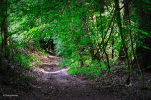 Baldeneysteig w sercu poprzemysłowego Zagłębia Ruhry