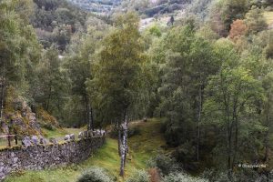 Vindhellavegen, Norwegia