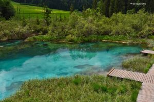 Krystalicznie czysta szmaragdowa woda Jeziora Zelenci, Słowenia