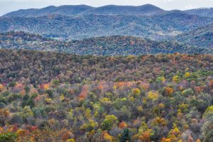 Appalachy jesienią, Park Narodowy Shenandoah, USA