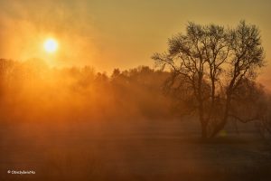 Listopadowy wschód słońca nad niemiecką rzeką Ruhr