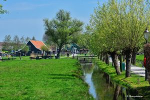 Wiosna w skansenie Zaanse Schans