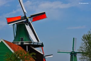 Zabytkowe młyny w skansenie Zaanse Schans, Holandia