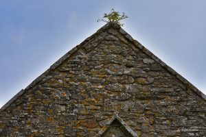 St. Mary's church, Tyneham