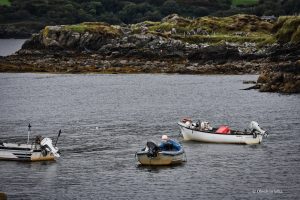 Wybrzeże w Killybegs, Irlandia