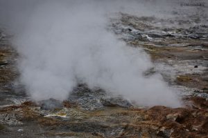 Buchające fumarole, Islandia