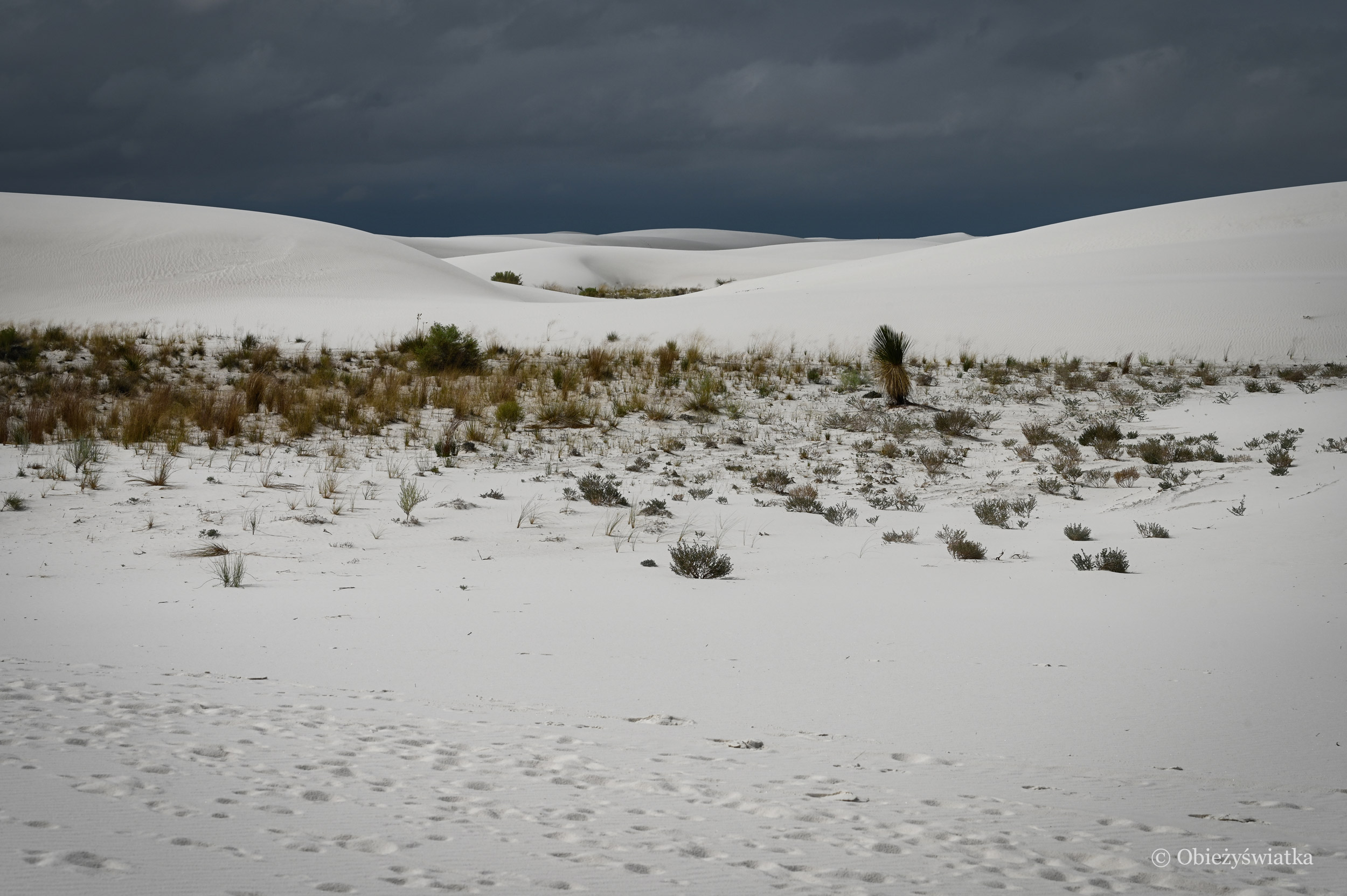 Gipsowe wydmy w Nowym Meksyku, White Sands NM