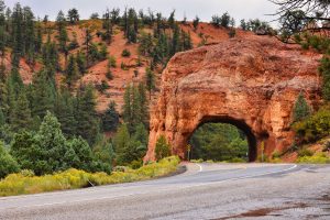 Red Canyon, Utah