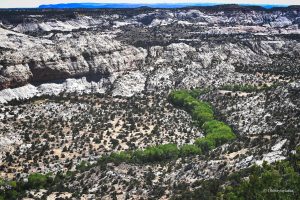 Widok z drogi Highway 12, Utah