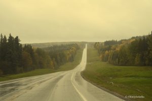 Deszczowo i mglisto - Alaska Highway, Kanada