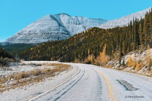 W drodze - Alaska Highway, Kanada
