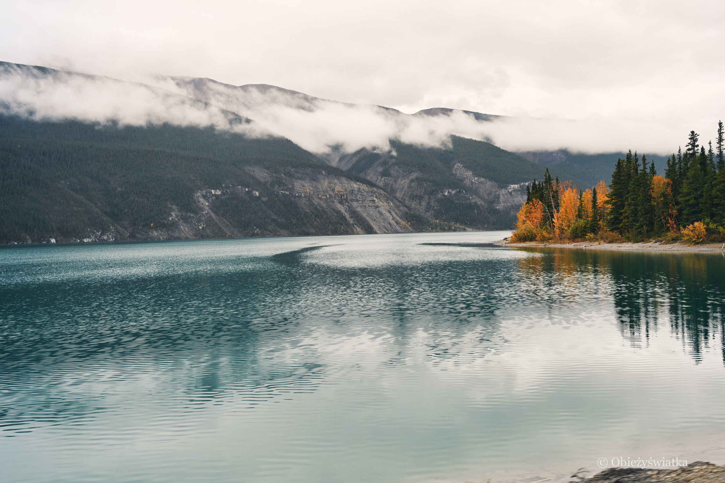 Mgły, krystaliczne jezioro i złote drzewa - Alaska Highway, Kanada