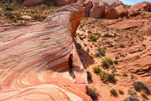Fire Wave, Valley of Fire, Nevada
