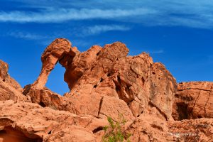 Elephant Rock, Valley of Fire
