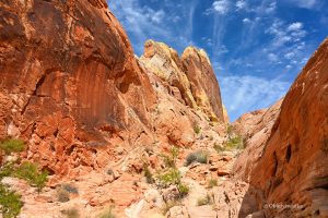 Na szlaku do White Domes, Valley of Fire