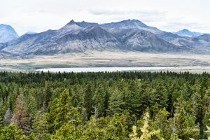 Widok na Park Narodowy Waterton Lakes, Kanada