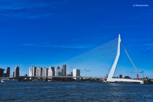 Most Erasmusa w Rotterdamie