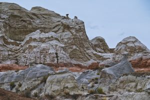 Między skałami, Toadstools Trail, Utah