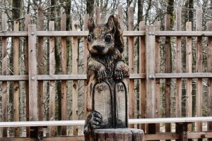 Wiewiórka - Baumwipfelpfad Saarschleife